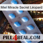 Miel Miracle Secret Léopard viagra3